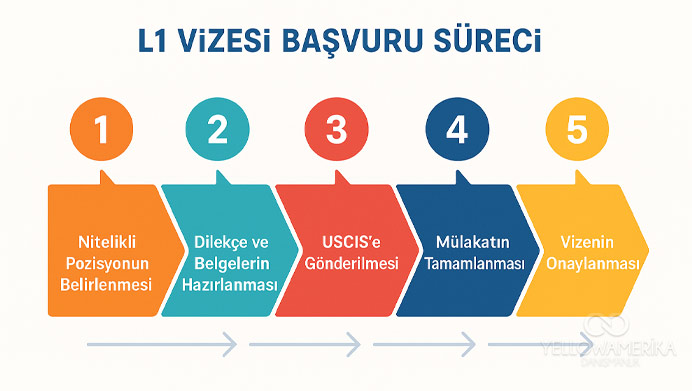 L-1 vizesi başvuru süreci adımlarını gösteren beş bölümlü infografik
