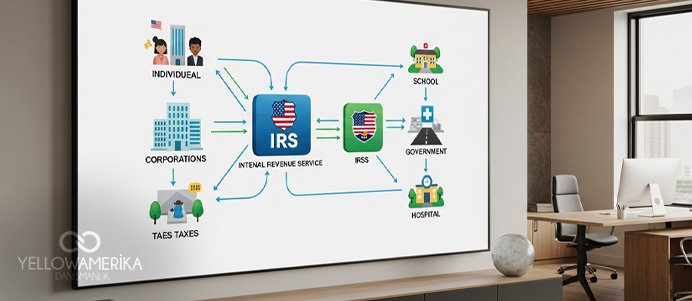 Amerika Vergi Rehberi (2025): Eyaletlere Göre Gelir, Kurumlar ve Satış Vergileri - YellowAmerika Blog