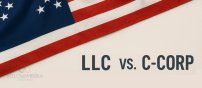 LLC mi, C-Corp mu? 2025 Yatırımcılar İçin Seçim Rehberi | YellowAmerika - YellowAmerika Blog